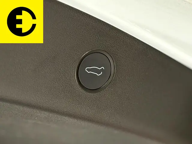 Tesla Model 3 Standard RWD Plus 60 kWh 2021 Elektrisch 37