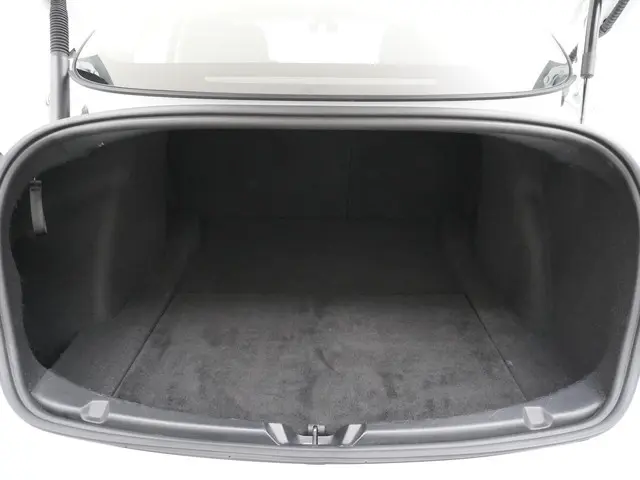Tesla Model 3 Long Range RWD 75 kWh 2023 Elektrisch 12