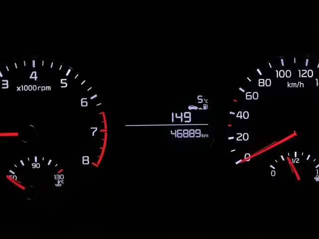 Kia Picanto 1.0 CVVT EconomyPlusLine 2017 Benzine 22