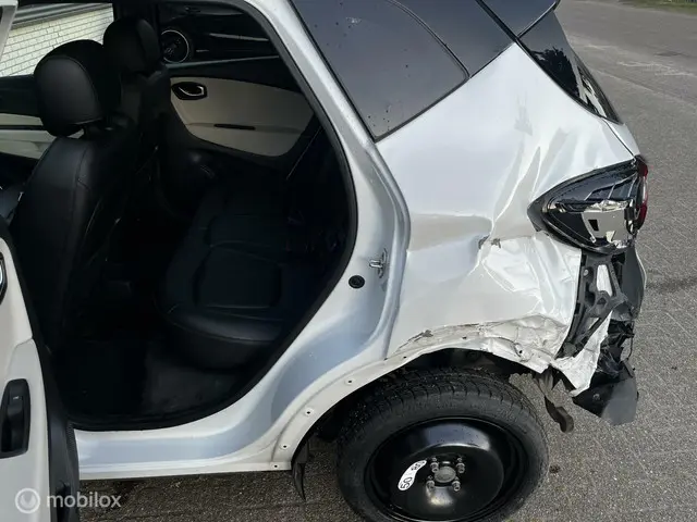 Renault Captur 0.9 TCe LEER/NAVI/CRUISE/SCHADE 2017 Benzine 6