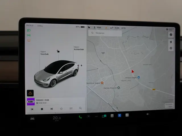 Tesla Model 3 Standard RWD Plus 60 kWh 2021 Elektrisch 30