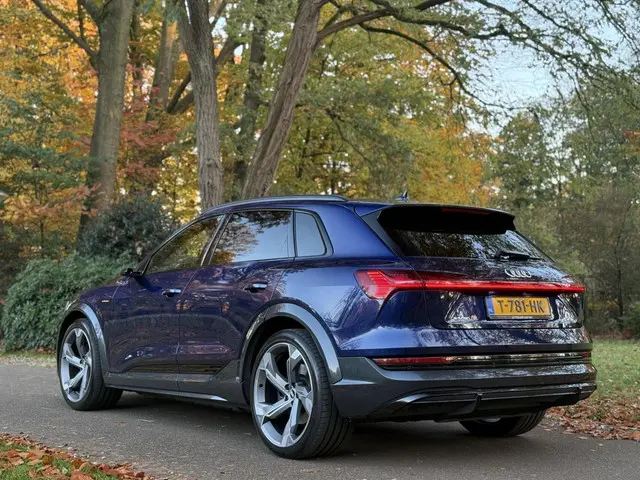 Audi e-tron S quattro 95 kWh 2021 Elektrisch 36