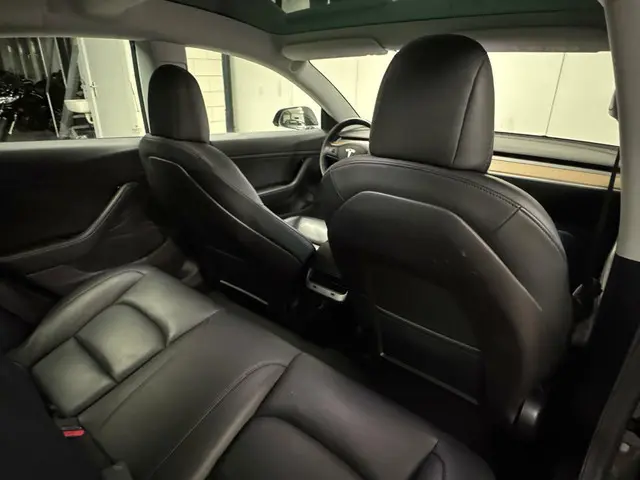 Tesla Model 3 Long Range AWD 75 kWh 2019 Elektrisch 8