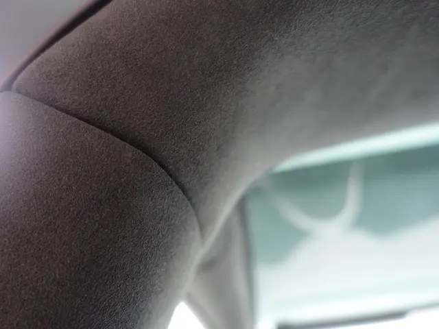 Tesla Model X Long Range Black Pack- 2019 Elektrisch 27
