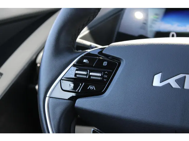 Kia Niro EV DynamicLine 64.8 kWh 2023 Elektrisch 10