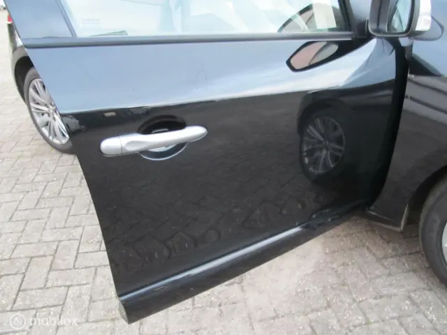 Renault Mégane 1.4 TCe GT-Line 2012 Benzine 30