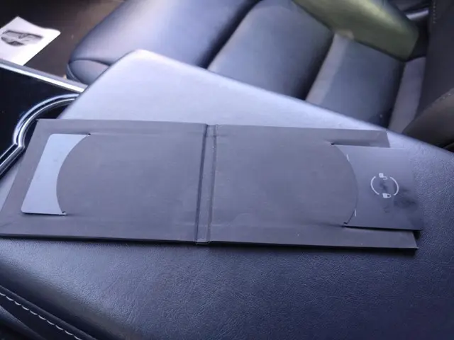 Tesla Model 3 Range Plus 2020 Elektrisch 10
