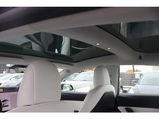 Tesla Model 3 Performance AWD 75 kWh 2019 Elektrisch 6