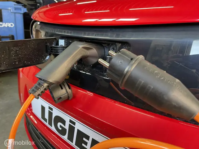 Ligier Myli Brommobiel I.DEAL 8 kWh 2025 Elektrisch 9