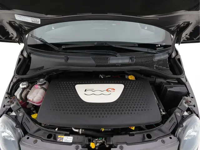 Fiat 500e 24kwh 2014 Elektrisch 18