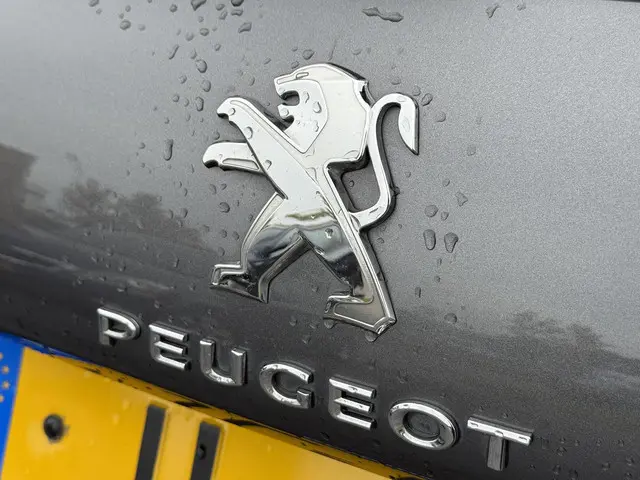 Peugeot 2008 1.2 PureTech Blue Lion 2016 Benzine 28