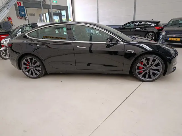 Tesla Model 3 Performance AWD 75 kWh 2020 Elektrisch 13