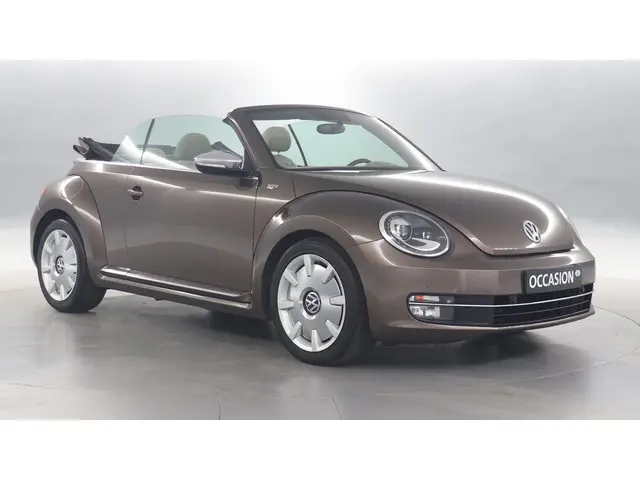 Volkswagen Beetle 3