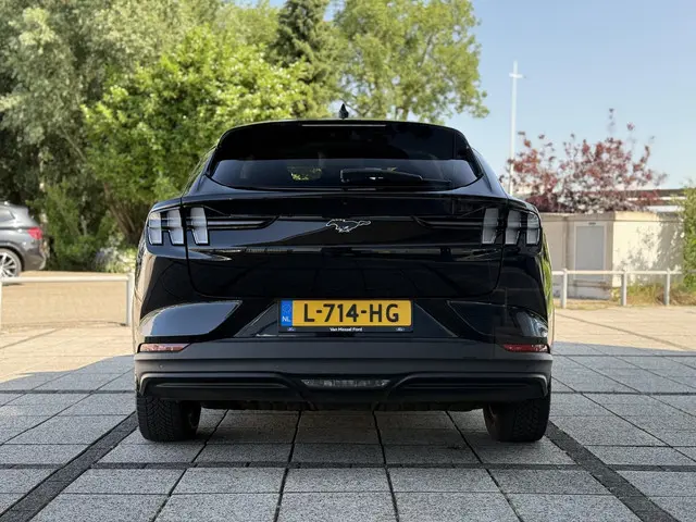 Ford Mustang Mach-E Aut. 75kWh 2021 Elektrisch 5