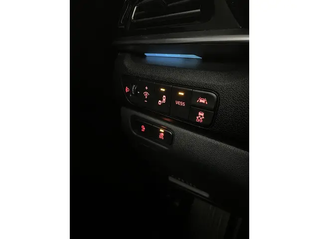 Kia e-Niro ExecutiveLine 64 kWh 2020 Elektrisch 32