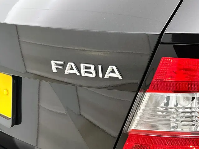 Škoda Fabia 1.0 Active 2018 Benzine 11