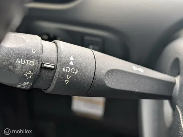 Citroën C4 Cactus 1.2 PureTech Business 2015 Benzine 24