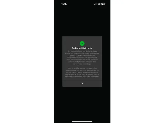 Tesla Model 3 Standard RWD Plus 60 kWh 2021 Elektrisch 47