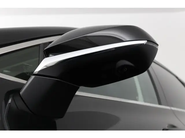 Lexus NX 450h+ AWD Executive Line 2024 Hybride Benzine 37