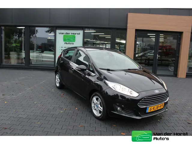 Ford Fiesta 1.0 EcoB. Titanium 2013 Benzine