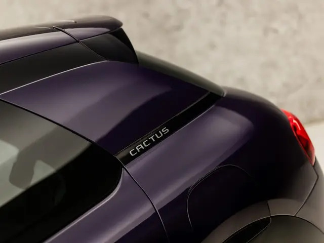 Citroën C4 Cactus 1.2 PureTech Shine 2018 Benzine 29