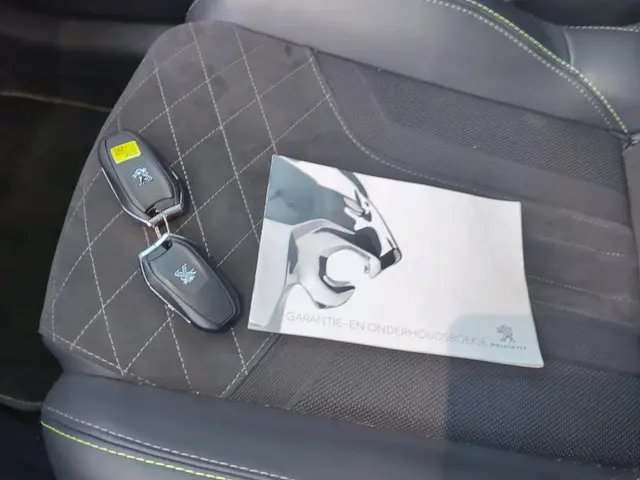 Peugeot e-208 EV GT Pack 50 kWh 2021 Elektrisch 12