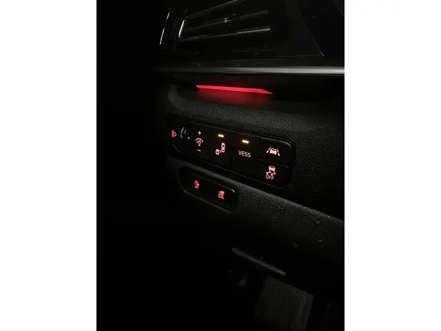 Kia e-Niro ExecutiveLine 64 kWh 2020 Elektrisch 33