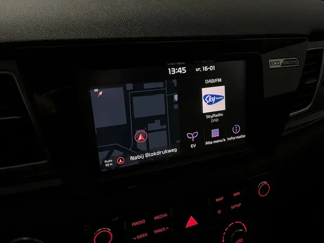 Kia e-Niro ExecutiveLine 64 kWh 2020 Elektrisch 13