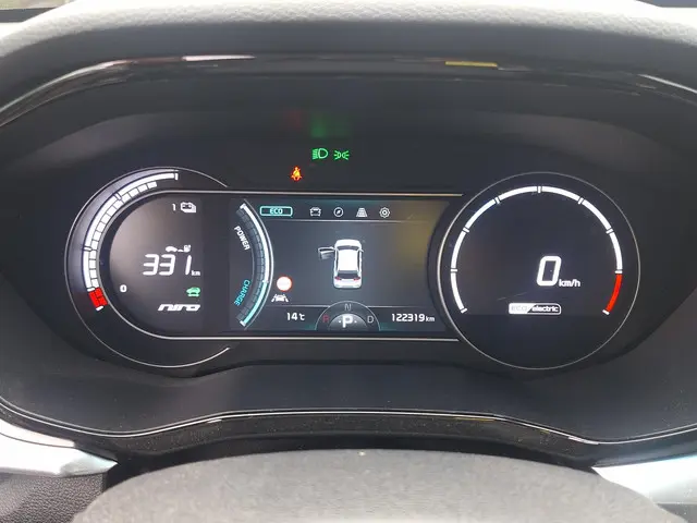 Kia e-Niro ExecutiveLine 64 kWh 2020 Elektrisch 9