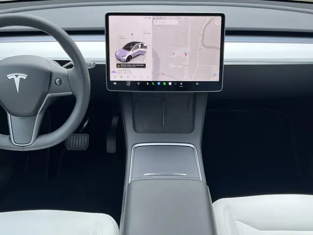 Tesla Model Y Long Range AWD 75 kWh 2023 Elektrisch 66