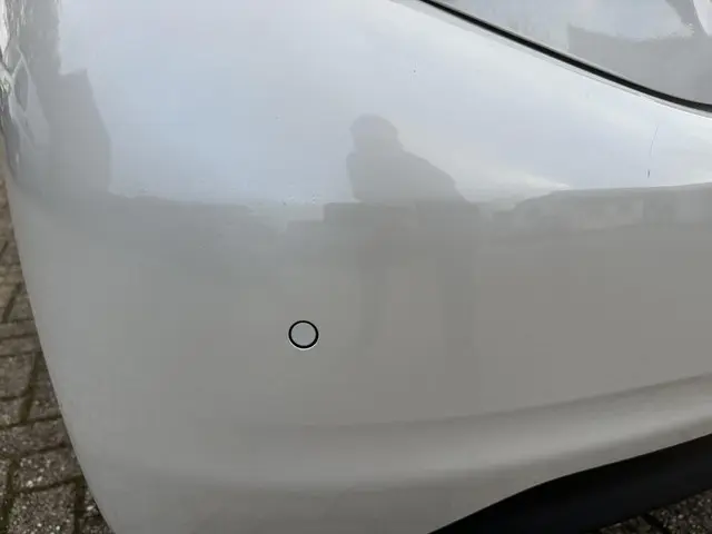 Peugeot 208 1.2 Blue Lion 82 PK 2018 Benzine 35