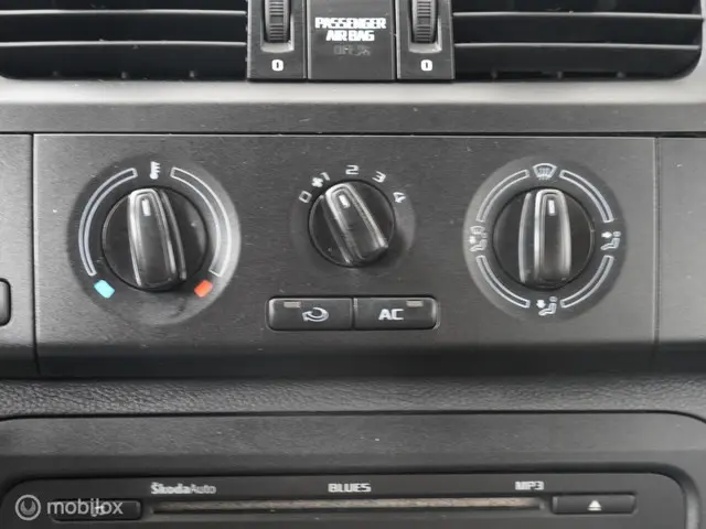 Škoda Fabia Combi 1.2 TSI Arctic 2013 Benzine 12