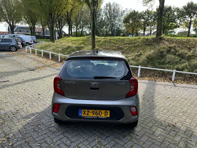 Kia Picanto 1.0 CVVT EconomyPlusLine 2019 Benzine 7