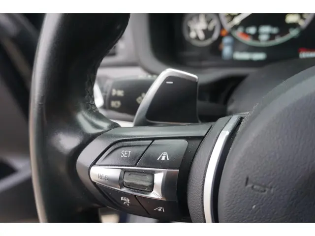 BMW X4 XDrive35d Centennial High Executive 2016 Diesel 17