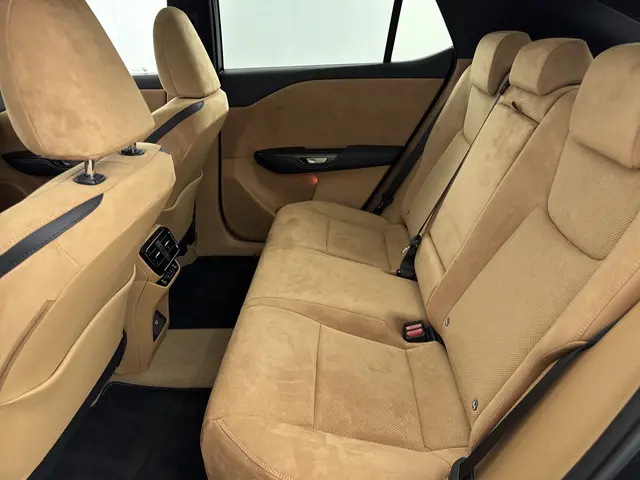 Lexus RZ 300e President Line 71 kWh 2024 Elektrisch 19