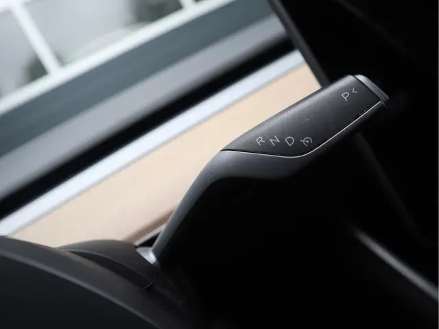 Tesla Model 3 Standard RWD Plus 60 kWh 2020 Elektrisch 32