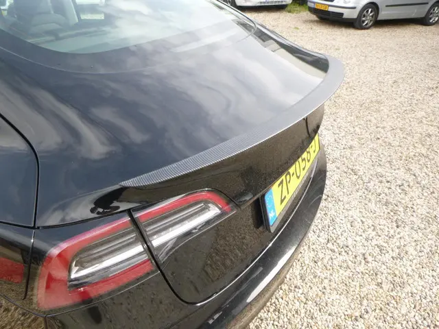 Tesla Model 3 Standard RWD Plus 60 kWh 2019 Elektrisch 11