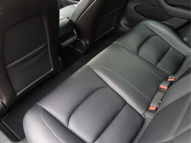 Tesla Model 3 Standard RWD Plus 60 kWh 2019 Elektrisch 25