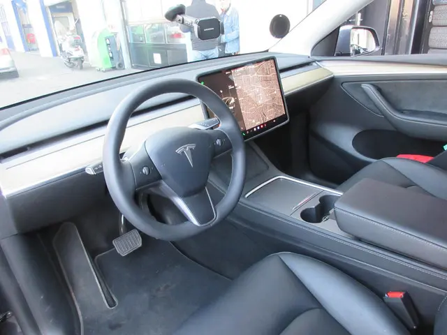 Tesla Model Y RWD 58 kWh 2023 Elektrisch 9