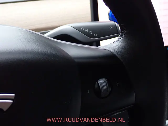 Tesla Model 3 LONG RANGE AWD 75kWh 2020 Elektrisch 30