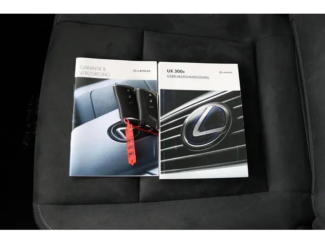 Lexus UX 300e Business 54 kWh 2020 Elektrisch 11