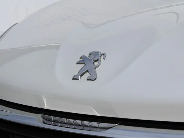 Peugeot 208 1.2 PureTech Blue Lion 2017 Benzine 12
