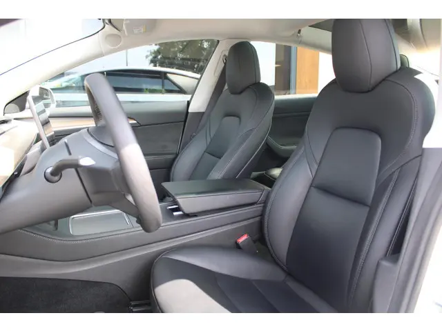 Tesla Model 3 Standard RWD Plus 60 kWh 2022 Elektrisch 15
