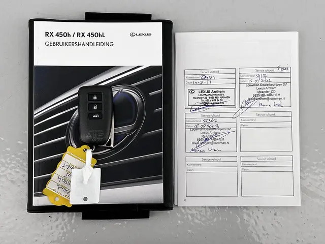 Lexus RX 450h 4WD F Sport Line 2019 Hybride Benzine 12