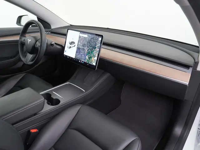 Tesla Model 3 Standard RWD Plus 60 kWh 2021 Elektrisch 40