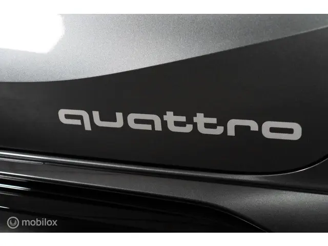 Audi RS3 2.0 TFSI RS 3 quattro 2022 Benzine 36