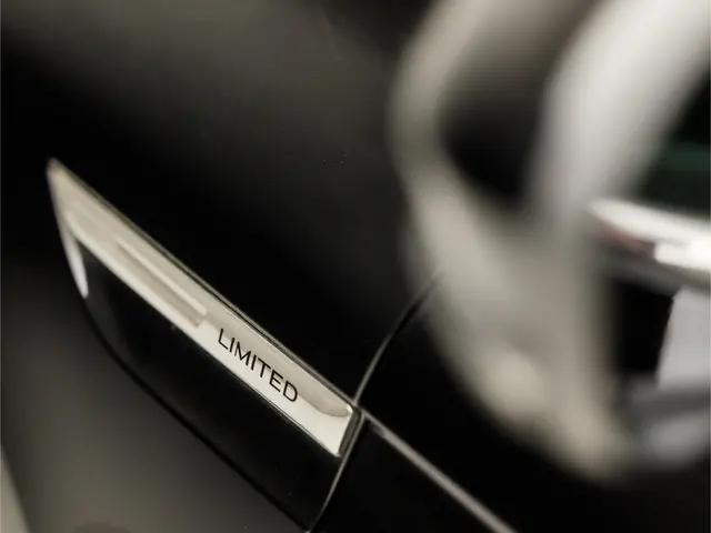 Renault Mégane 1.3 TCe Sport 2019 Benzine 25