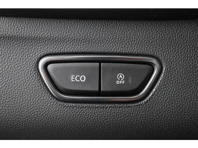 Renault Kadjar 1.3 TCe 160pk Black Edition 2020 Benzine 27
