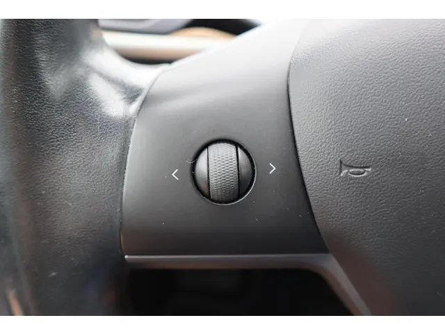 Tesla Model 3 Long Range AWD 75 kWh 2019 Elektrisch 25