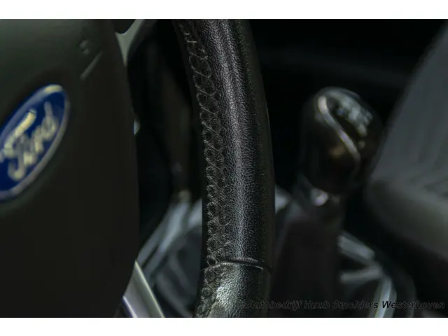 Ford Fiesta 1.0 EcoBoost Titanium X 2015 Benzine 28